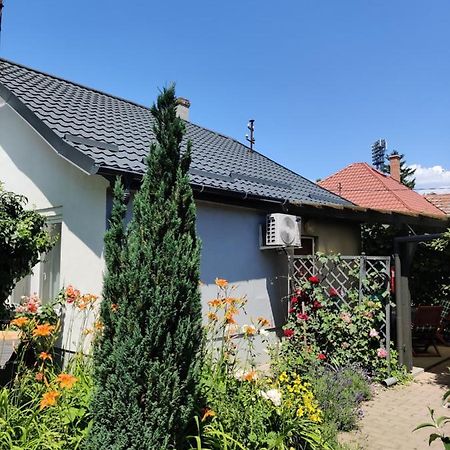 Lenart House 1 Vila Siófok Exterior foto